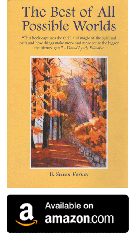 B. Steven Verney's book is available on amazon'.
